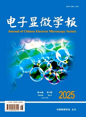 電子顯微學報雜志