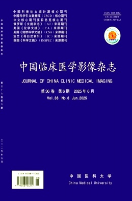中國臨床醫學影像雜志