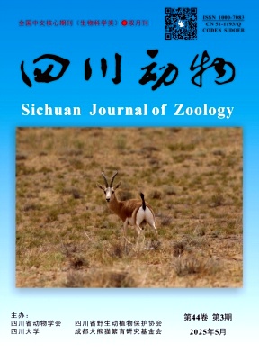 四川動物雜志