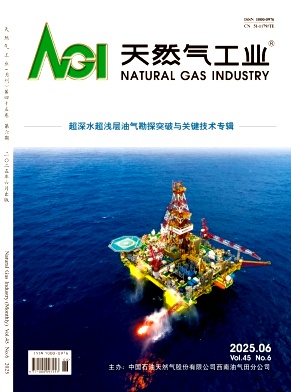 天然氣工業雜志