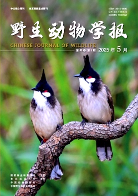 野生動物學報雜志