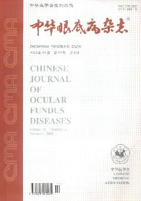中華眼底病雜志