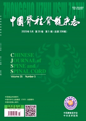 中國脊柱脊髓雜志